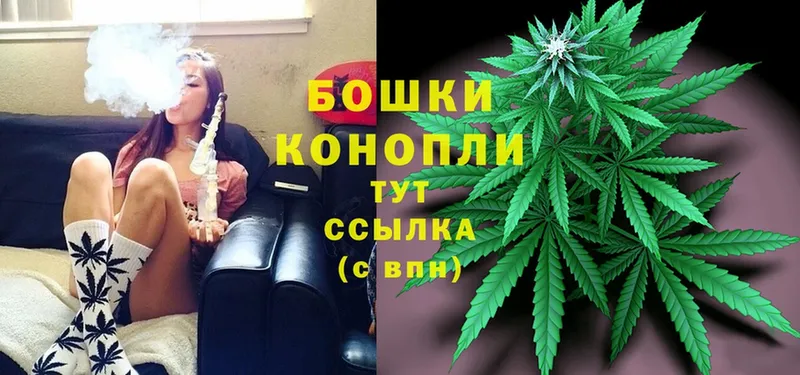 Каннабис Bruce Banner  где купить наркоту  МЕГА вход  Верея 